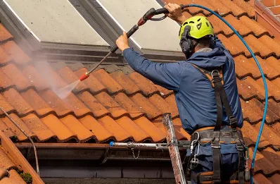 Démoussage et hydrofuge de toiture à Tœufles
